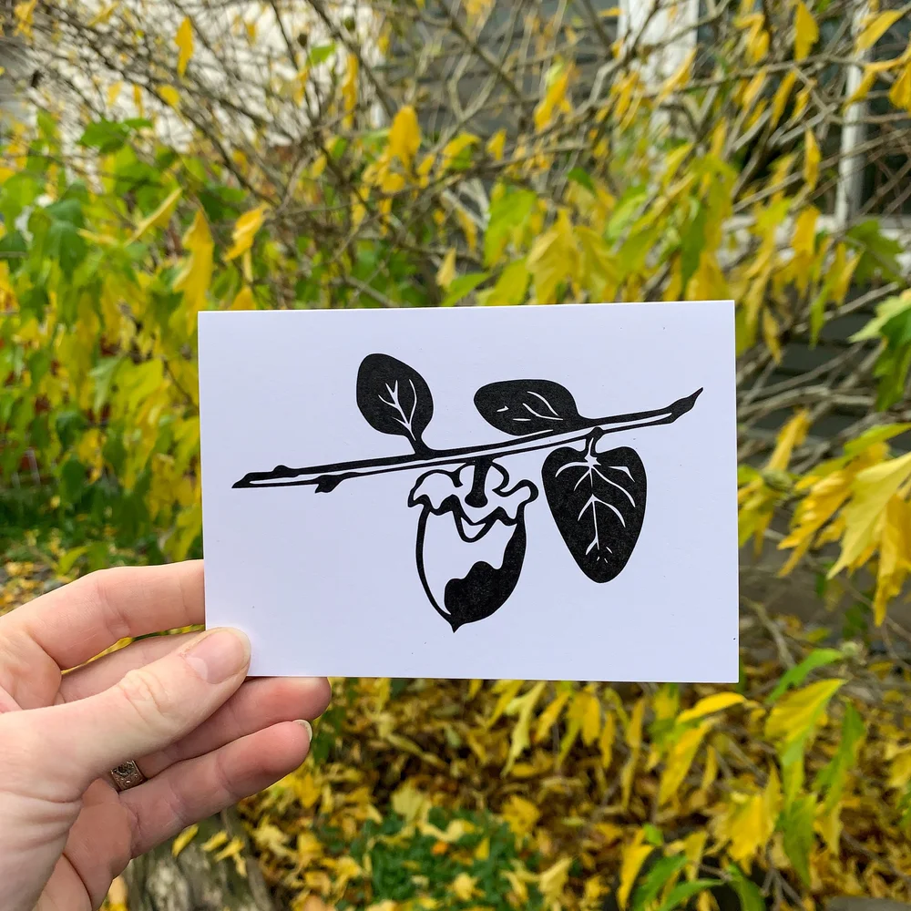 Persimmon - A1 Card — Lisa Lisa Made